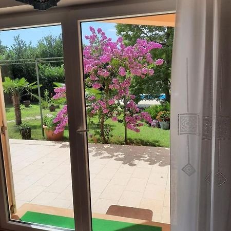 Villa Di Te Nema بولا المظهر الخارجي الصورة
