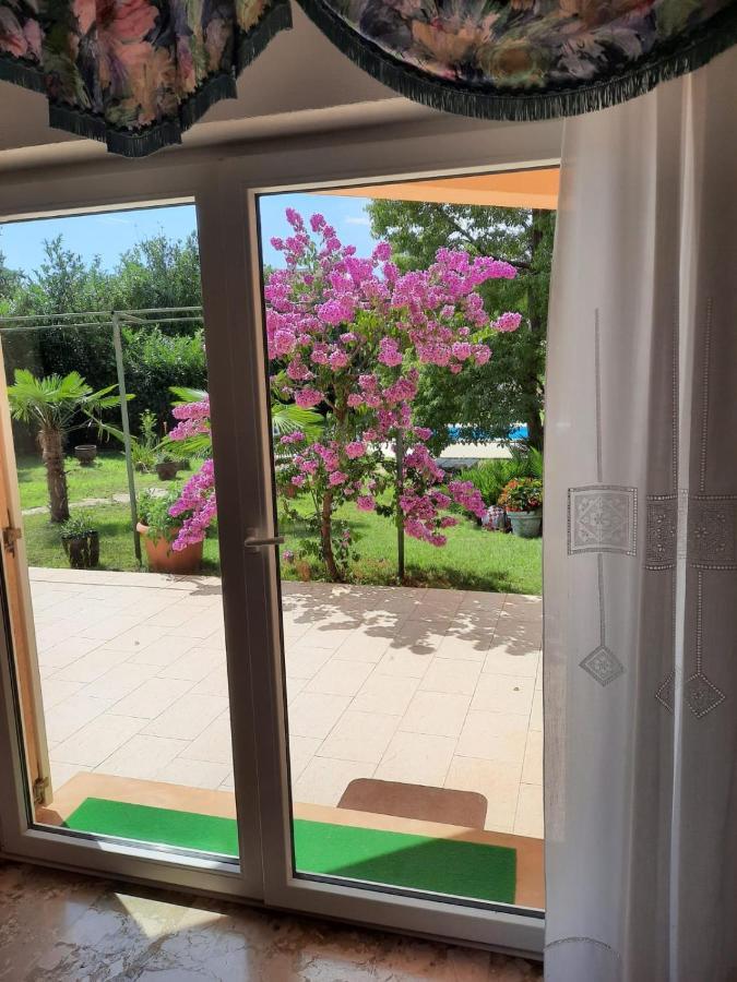 Villa Di Te Nema بولا المظهر الخارجي الصورة